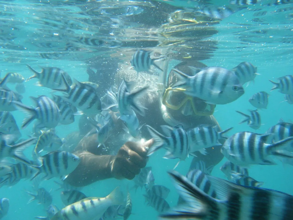 Chumbe Island Coral Park, Zanzibar