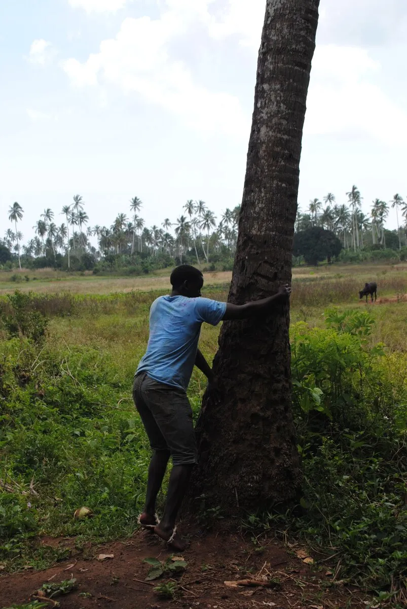 Traditional Swahili healer