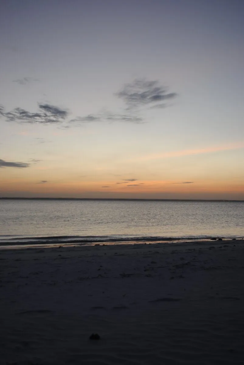 Night sky over Zanzibar beach